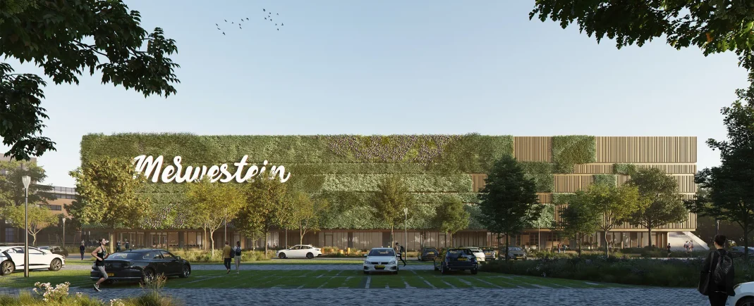 264-01.0_CopyrightDMOO-web